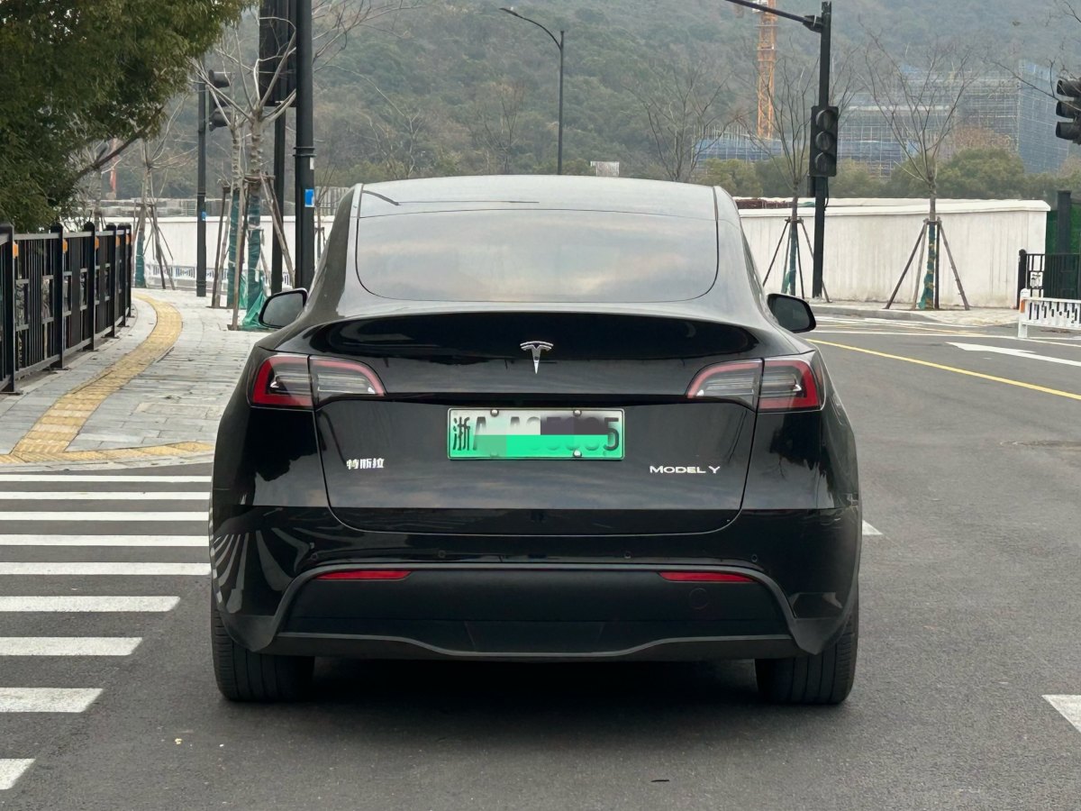 特斯拉 Model 3  2022款 后輪驅(qū)動版圖片