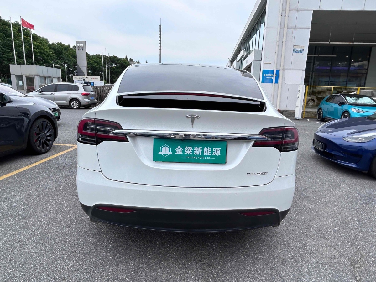 特斯拉 Model X  2019款 Performance 高性能版圖片