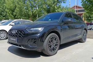 奧迪Q5 e-tron 奧迪 40 e-tron 星耀型 影武士版