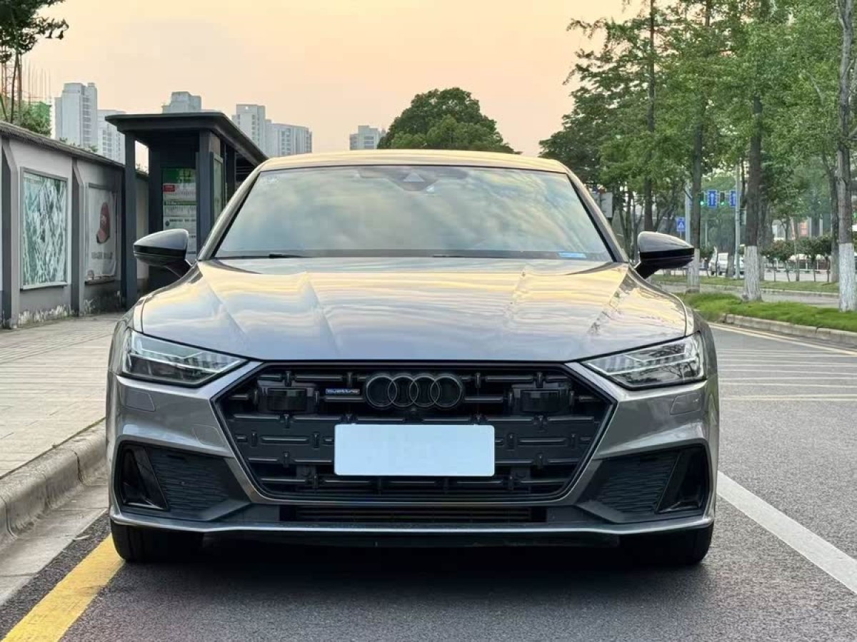 奧迪 奧迪A7L  2022款 45 TFSI quattro S-line 風騎士圖片