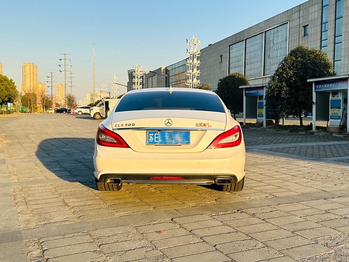 奔馳 奔馳CLS級(jí)  2012款 CLS 300 CGI圖片