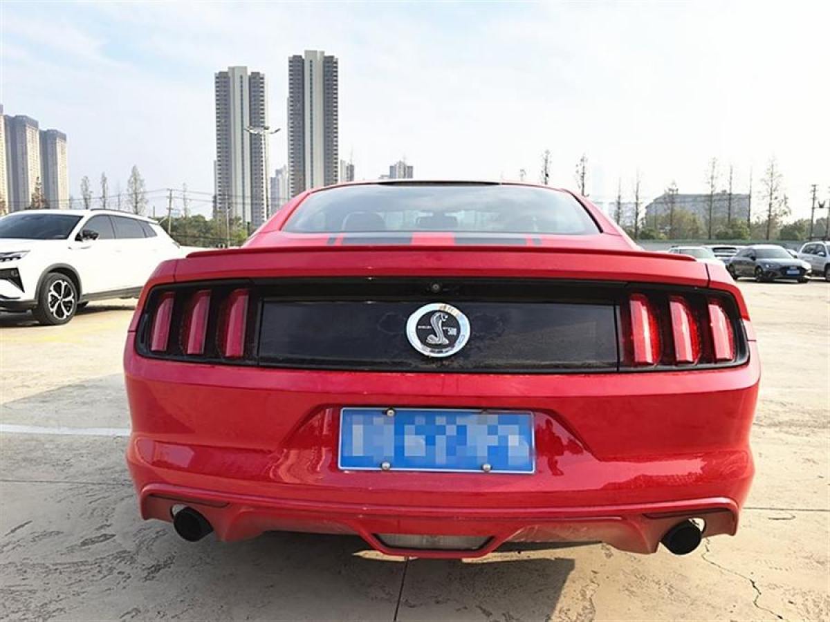 福特 Mustang  2015款 2.3T 性能版圖片