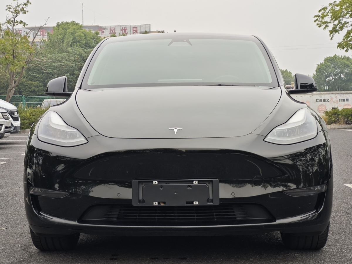 特斯拉 Model Y  2021款 改款 標(biāo)準(zhǔn)續(xù)航后驅(qū)升級版圖片