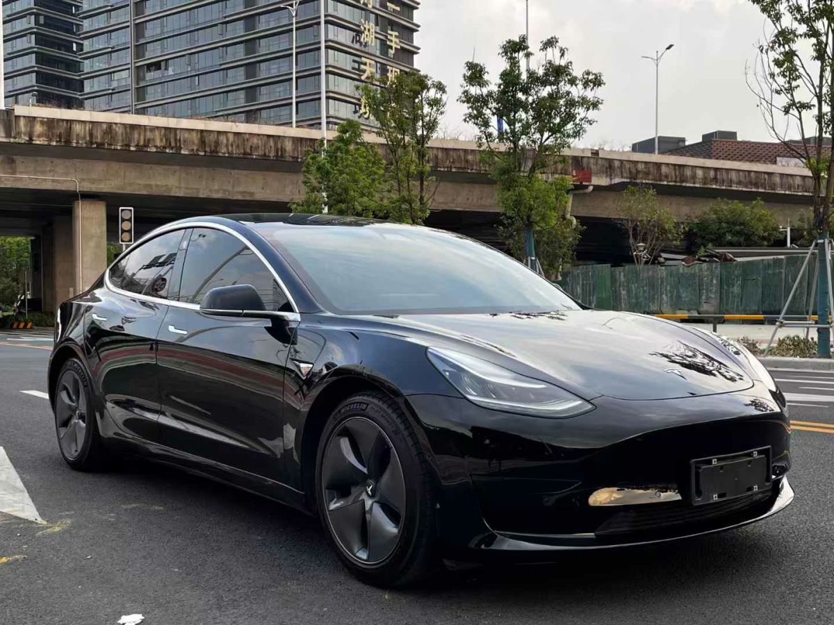 特斯拉 Model Y  2020款 標準續(xù)航后驅升級版圖片