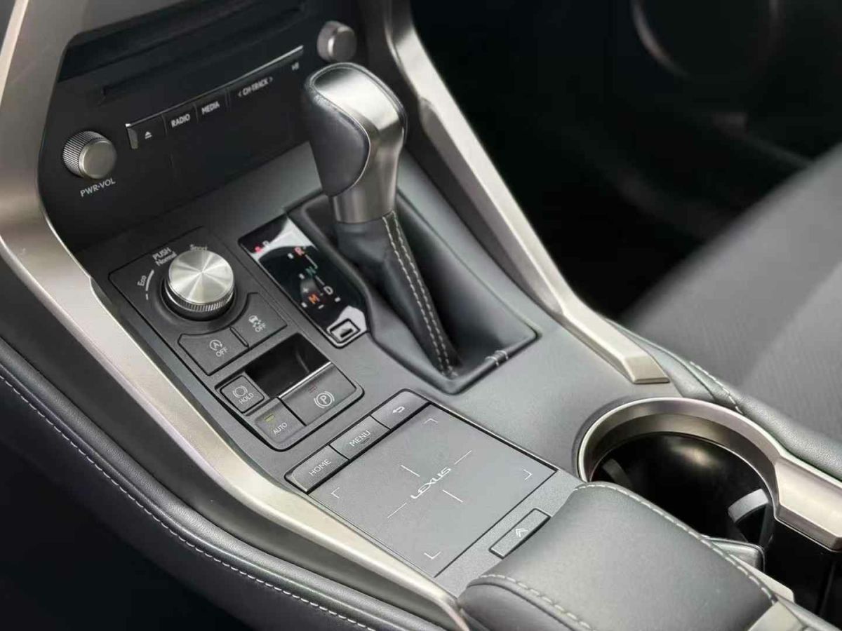 雷克薩斯 NX  2019款 300h 百萬(wàn)紀(jì)念限量版 國(guó)VI圖片