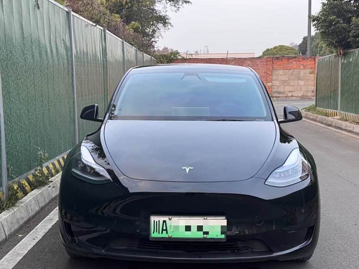 特斯拉 Model 3  2020款 改款 長續(xù)航后輪驅動版圖片