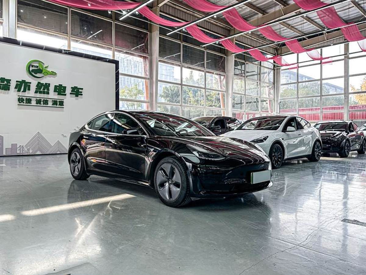 特斯拉 Model 3  2019款 標(biāo)準(zhǔn)續(xù)航后驅(qū)升級(jí)版圖片