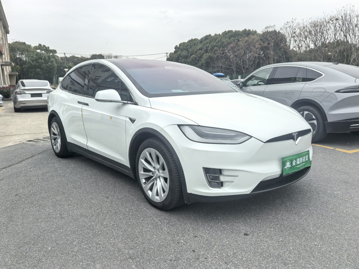 特斯拉 Model X  2019款 長續(xù)航版圖片