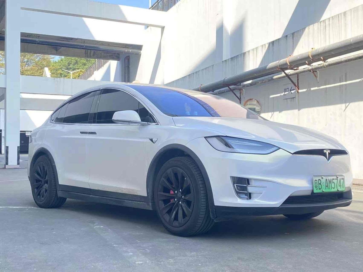 特斯拉 Model X  2017款 Model X 100D 長續(xù)航版圖片