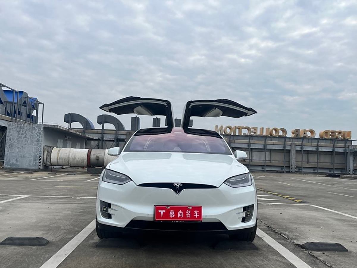 特斯拉 Model X  2017款 Model X 100D 長續(xù)航版圖片