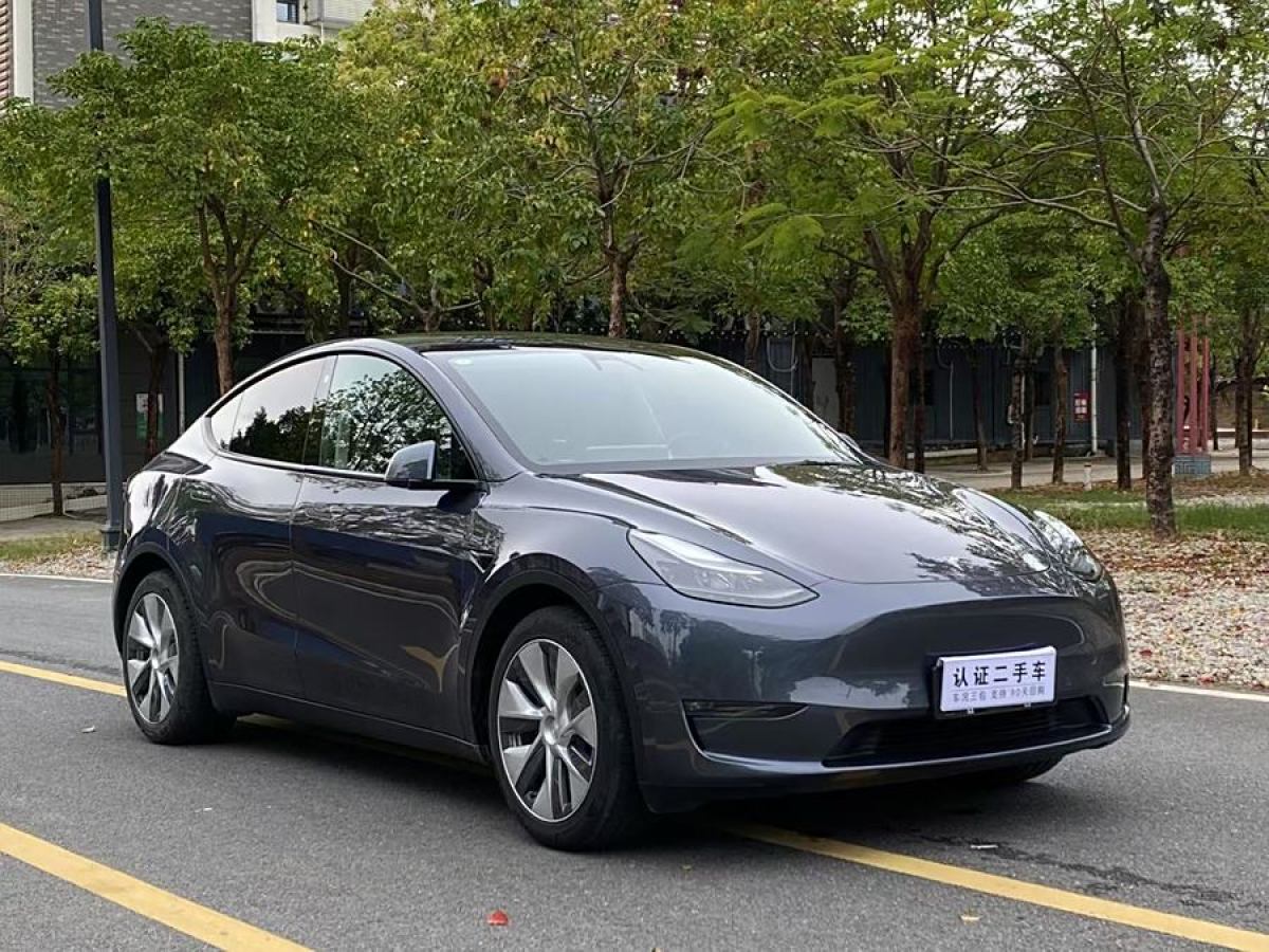 特斯拉 Model 3  2021款 改款 標(biāo)準(zhǔn)續(xù)航后驅(qū)升級(jí)版圖片