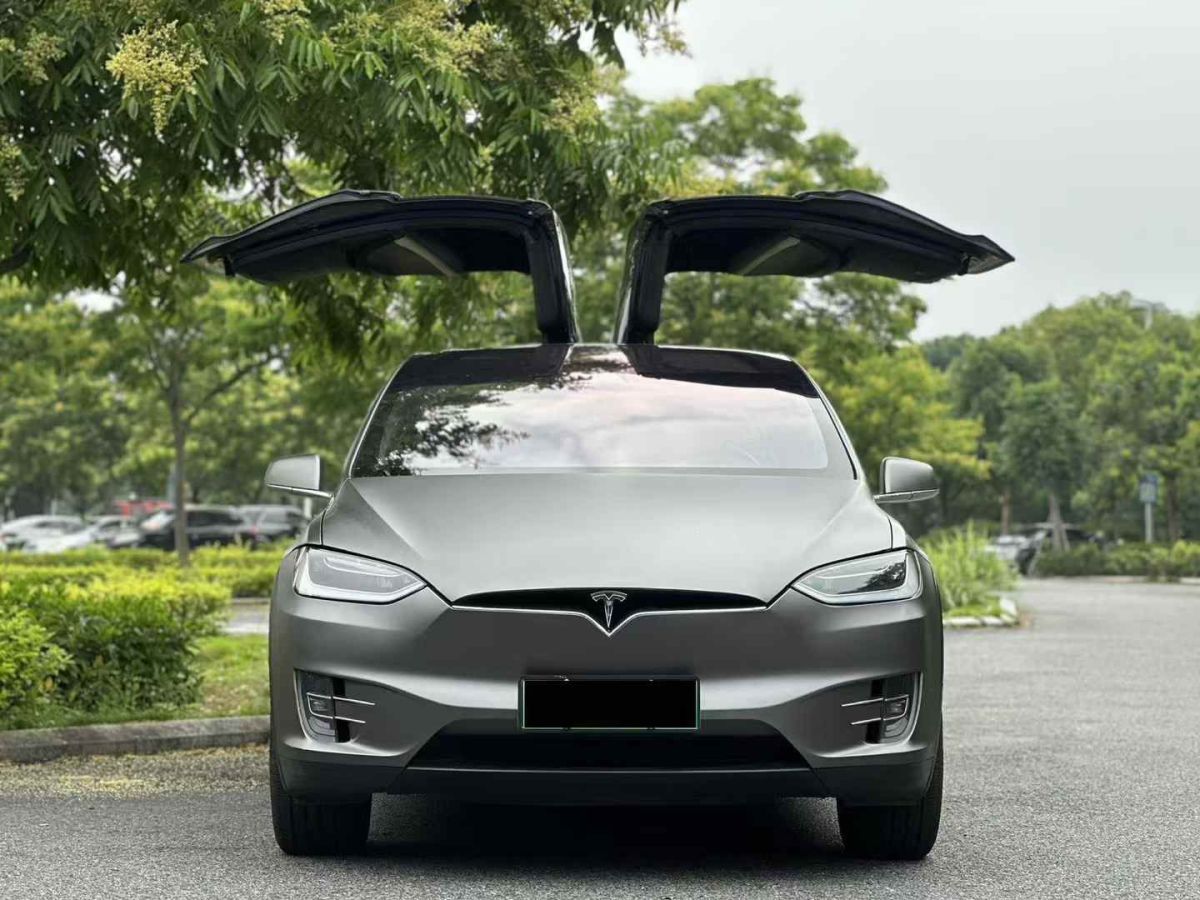 特斯拉 Model S  2019款 Performance 高性能版圖片