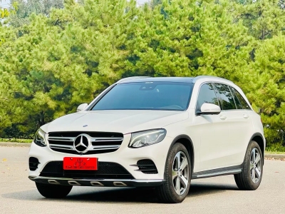2017年4月 奔馳 奔馳GLC GLC 260 4MATIC 豪華型圖片
