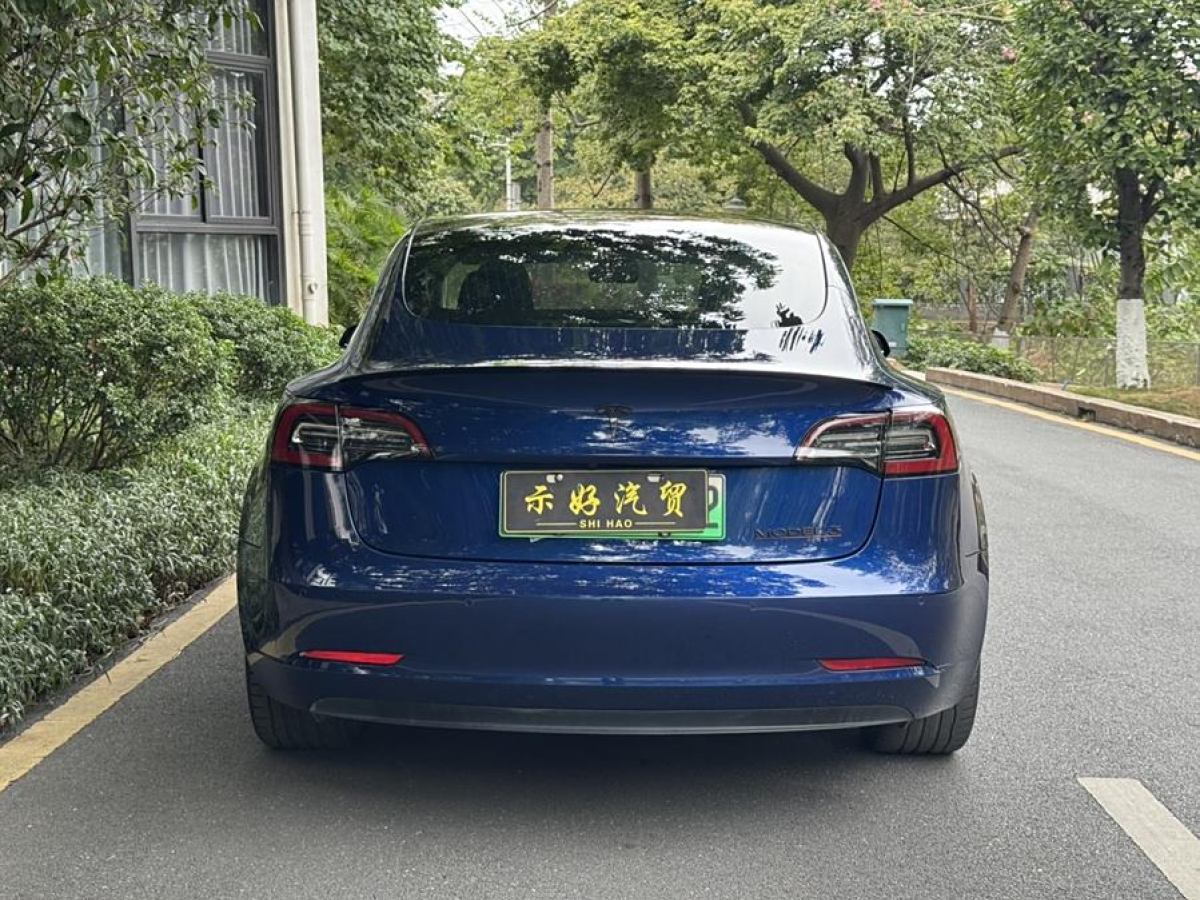 2020年4月特斯拉 Model 3  2020款 改款 標準續(xù)航后驅升級版