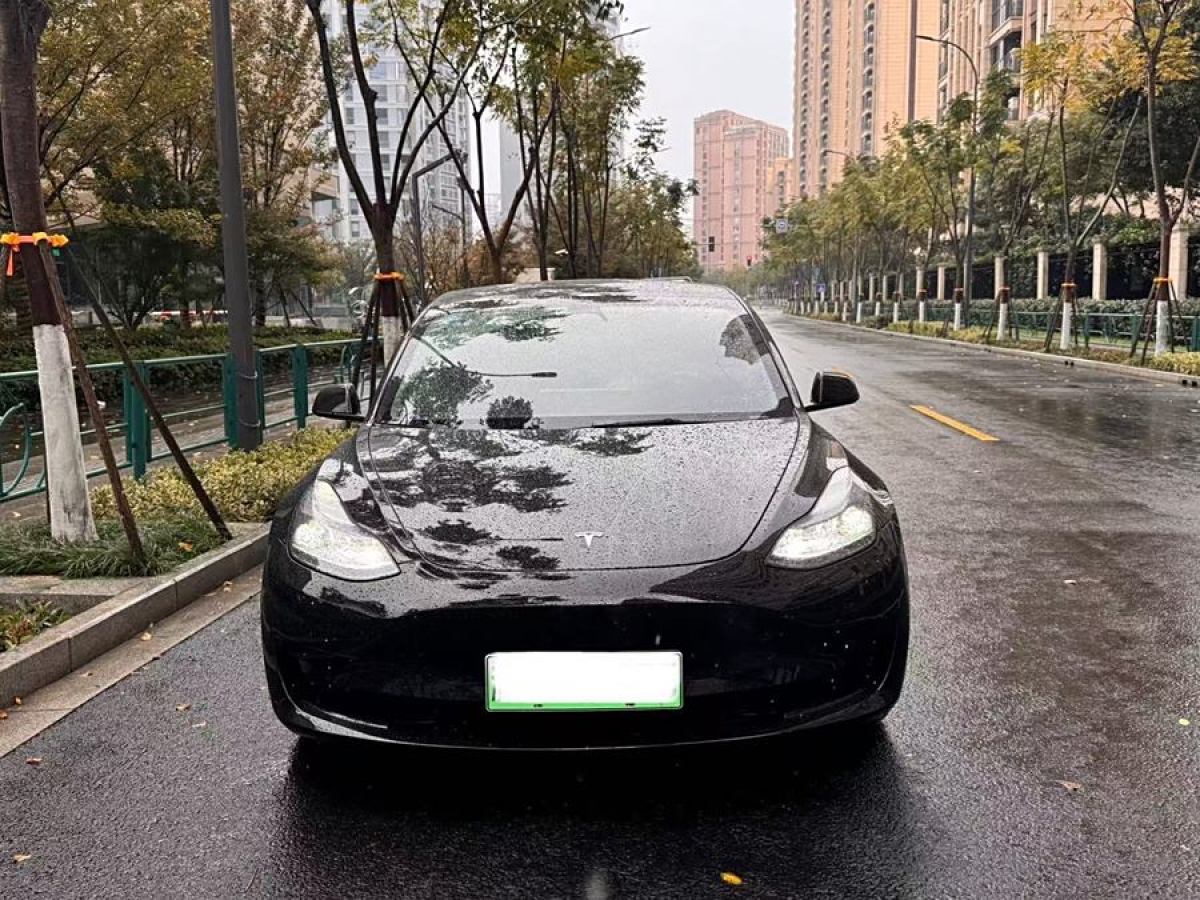 2021年12月特斯拉 Model Y  2022款 改款 后輪驅(qū)動(dòng)版