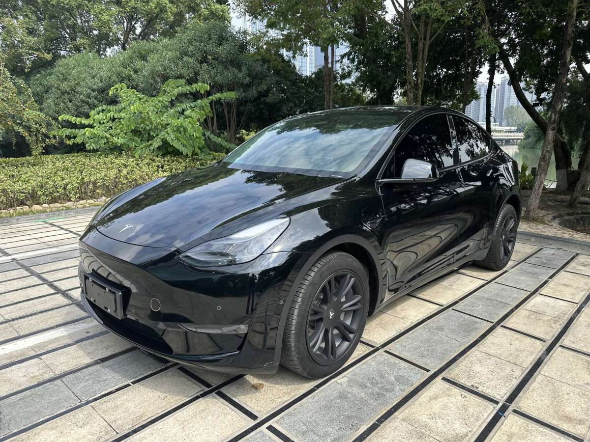 特斯拉 Model Y  2021款 長續(xù)航全輪驅動版圖片