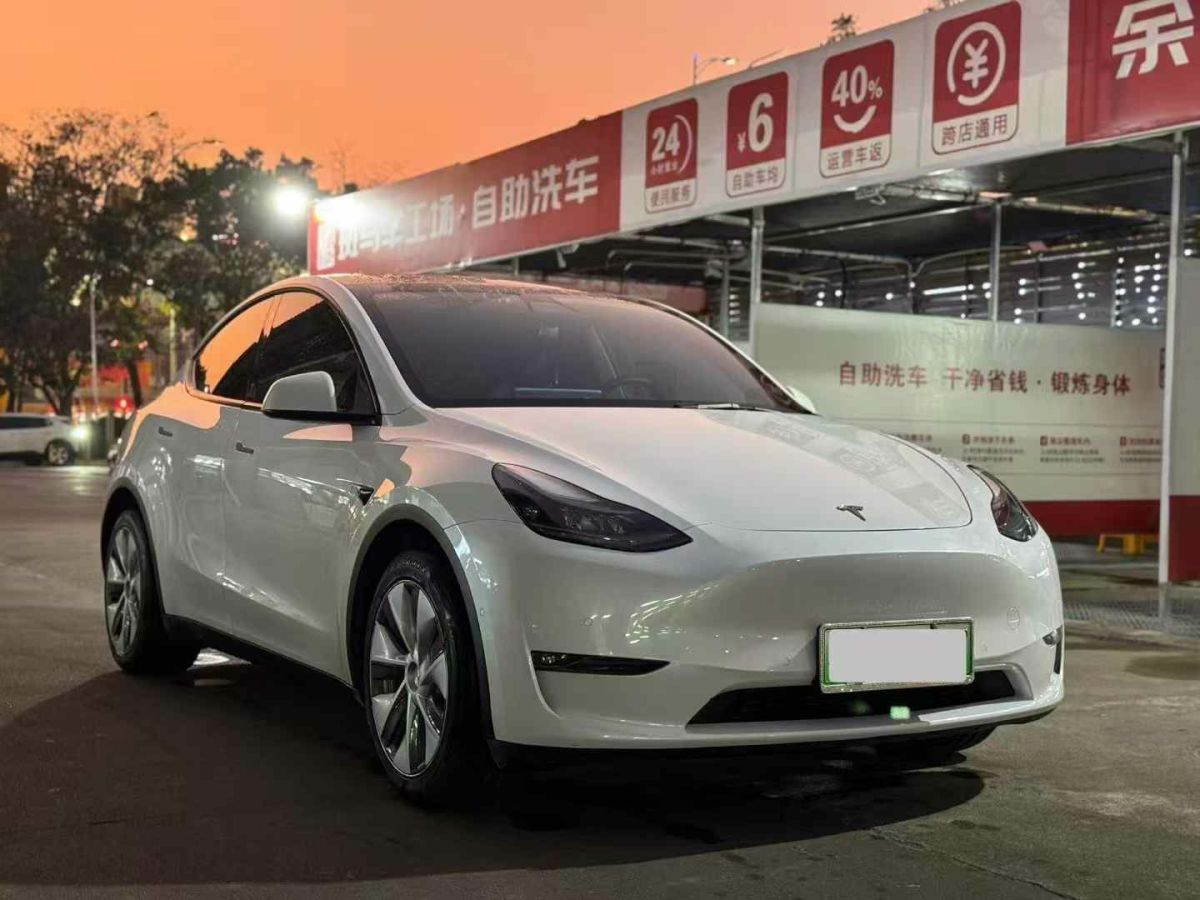 特斯拉 Model Y  2021款 標(biāo)準(zhǔn)續(xù)航后驅(qū)版圖片