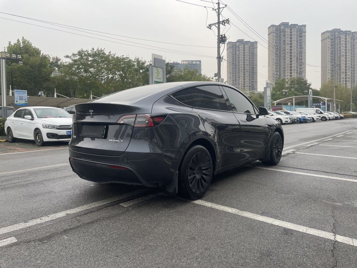 特斯拉 Model Y  2020款 改款 長續(xù)航后輪驅(qū)動版圖片