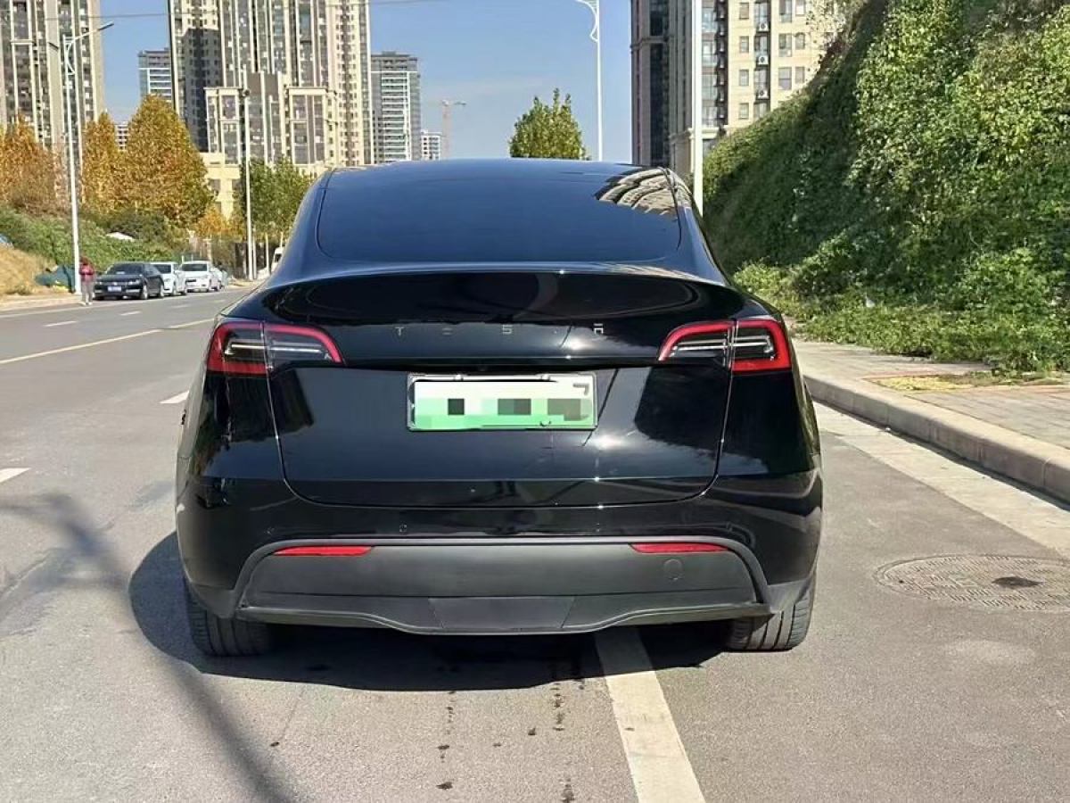 特斯拉 Model 3  2021款 改款 標準續(xù)航后驅(qū)升級版圖片