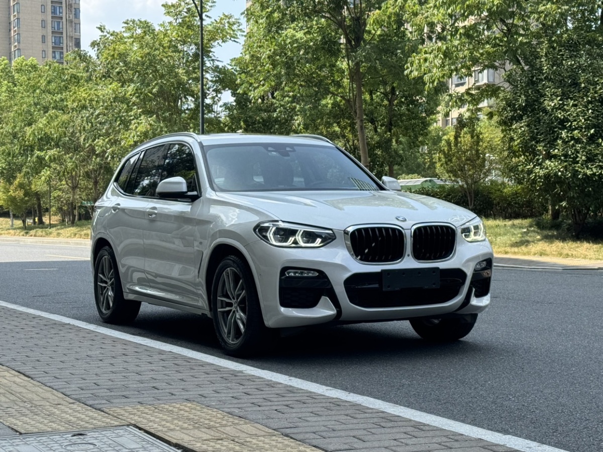 2018年11月寶馬 寶馬X3  2018款 xDrive30i 領(lǐng)先型 M運(yùn)動套裝 國V