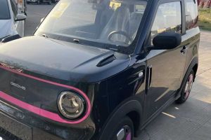 熊貓mini 吉利 210km 熊貓騎士