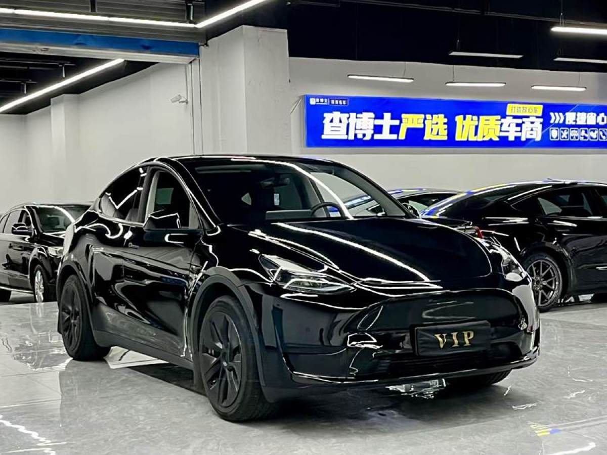 特斯拉 Model Y  2021款 長(zhǎng)續(xù)航全輪驅(qū)動(dòng)版 3D7圖片