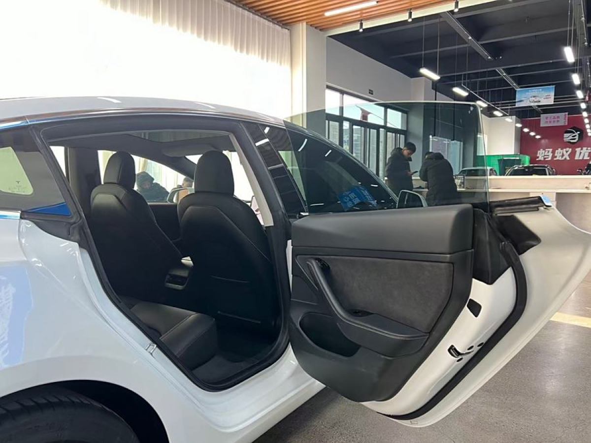 特斯拉 Model 3  2020款 改款 標準續(xù)航后驅(qū)升級版圖片