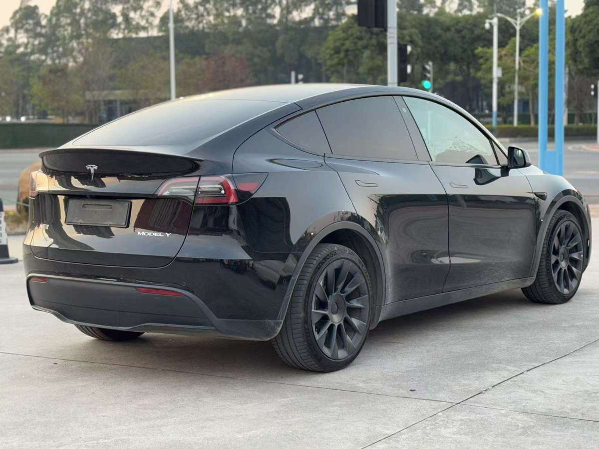 特斯拉 Model Y  2022款 長續(xù)航全輪驅(qū)動(dòng)版圖片