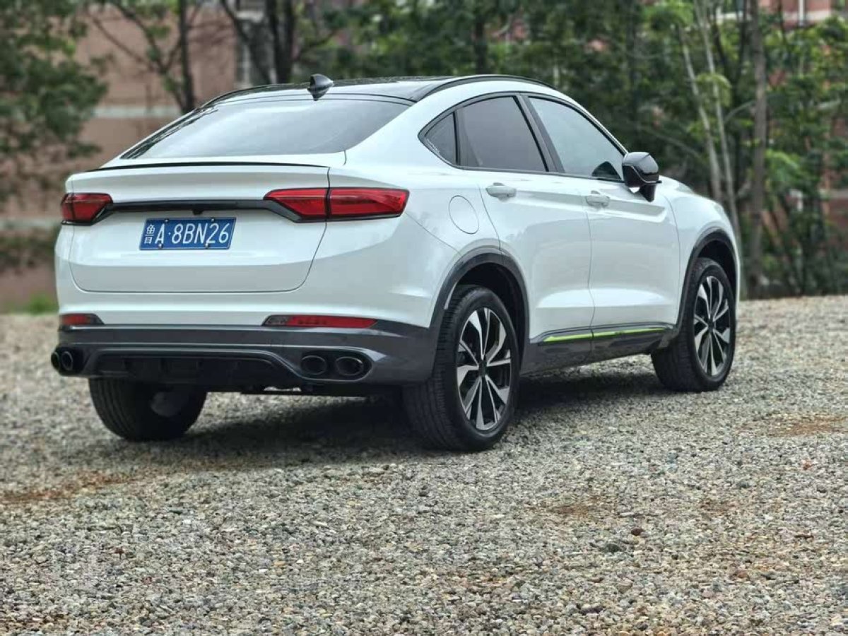吉利 星越S  2021款 2.0TD 自動兩驅(qū)閃電版圖片