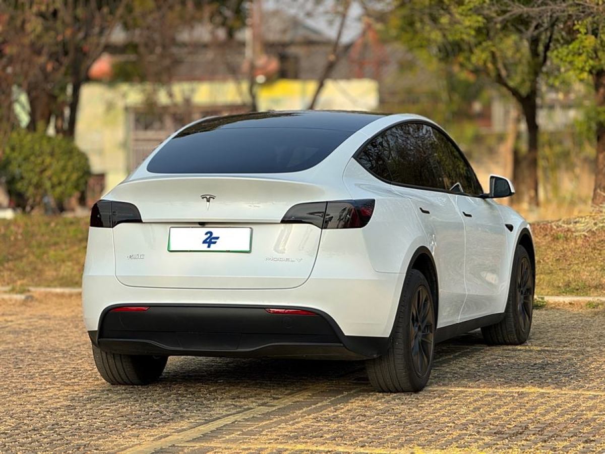 特斯拉 Model Y  2024款 長續(xù)航全輪驅(qū)動(dòng)版圖片