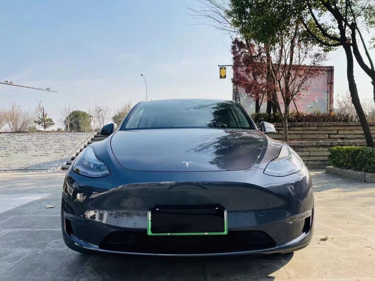 特斯拉 Model 3  2021款 改款 標(biāo)準(zhǔn)續(xù)航后驅(qū)升級(jí)版圖片