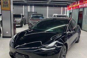 Model 3 特斯拉 改款 標(biāo)準(zhǔn)續(xù)航后驅(qū)升級版