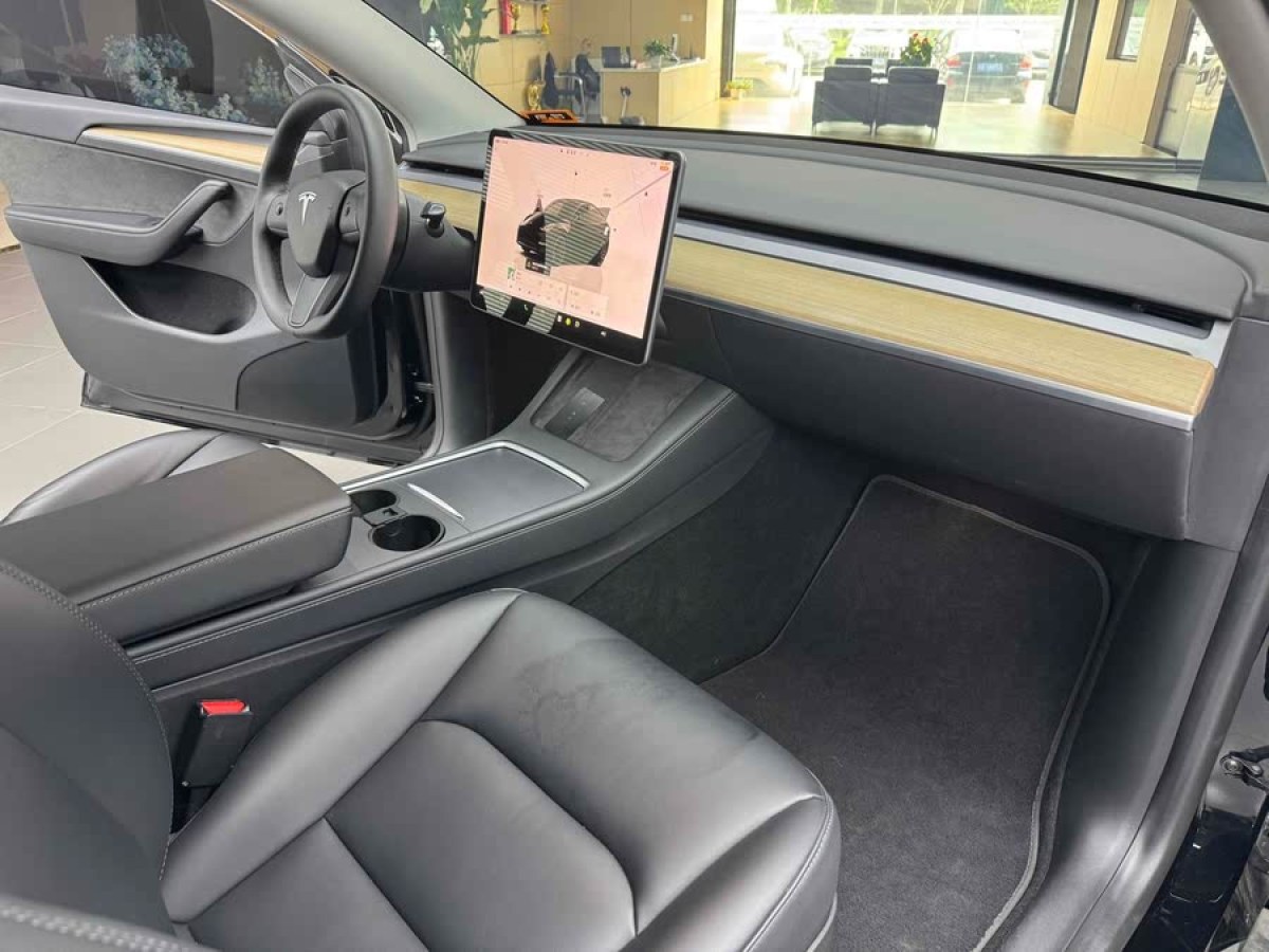 特斯拉 Model Y  2022款 Performance高性能全輪驅(qū)動(dòng)版圖片