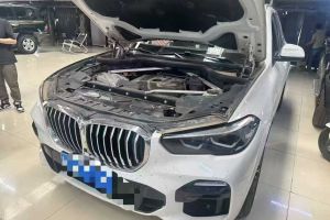 寶馬X5 寶馬 xDrive30i X設(shè)計(jì)套裝