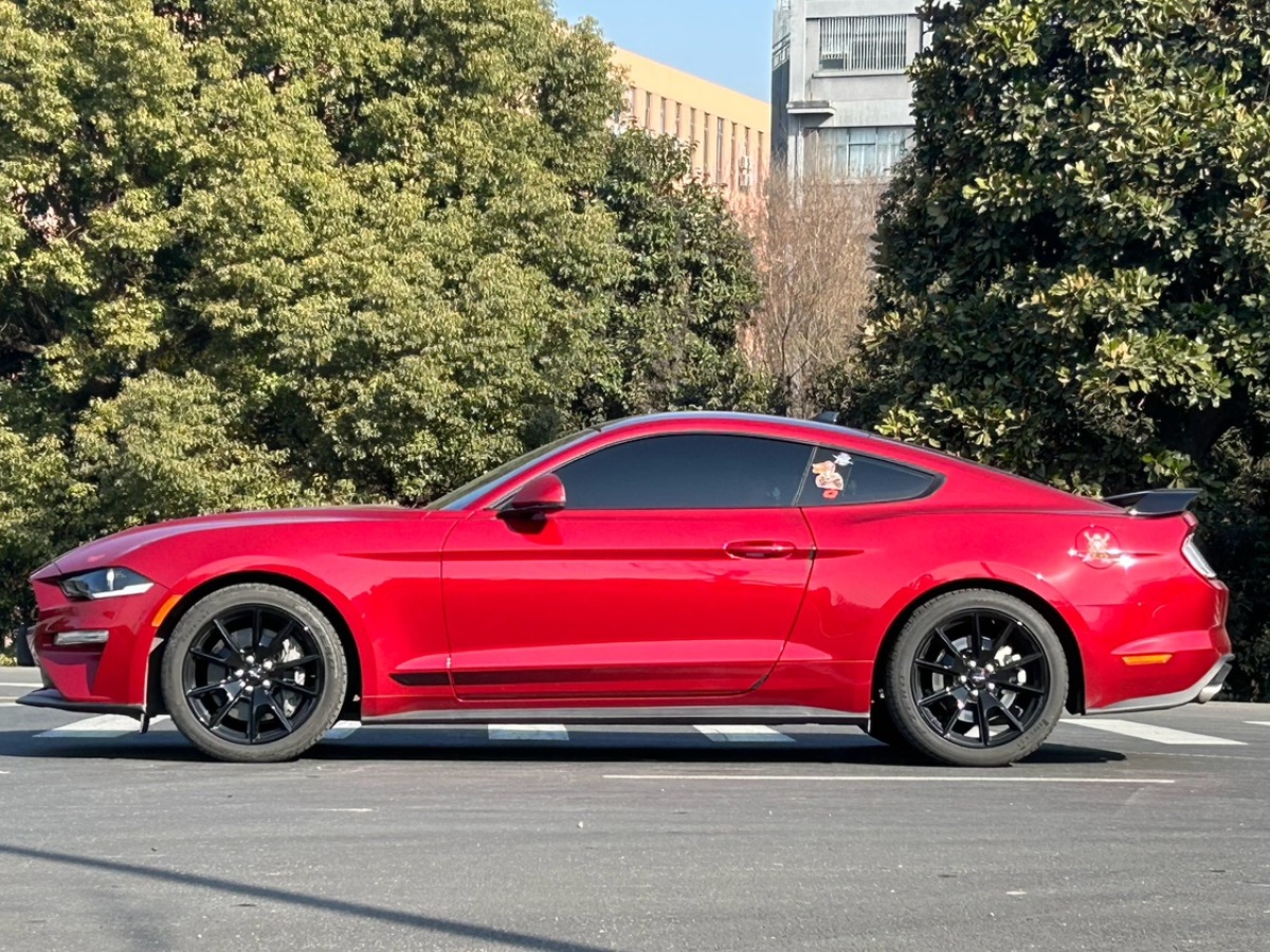 福特 Mustang  2021款 2.3L EcoBoost 黑曜魅影特別版圖片