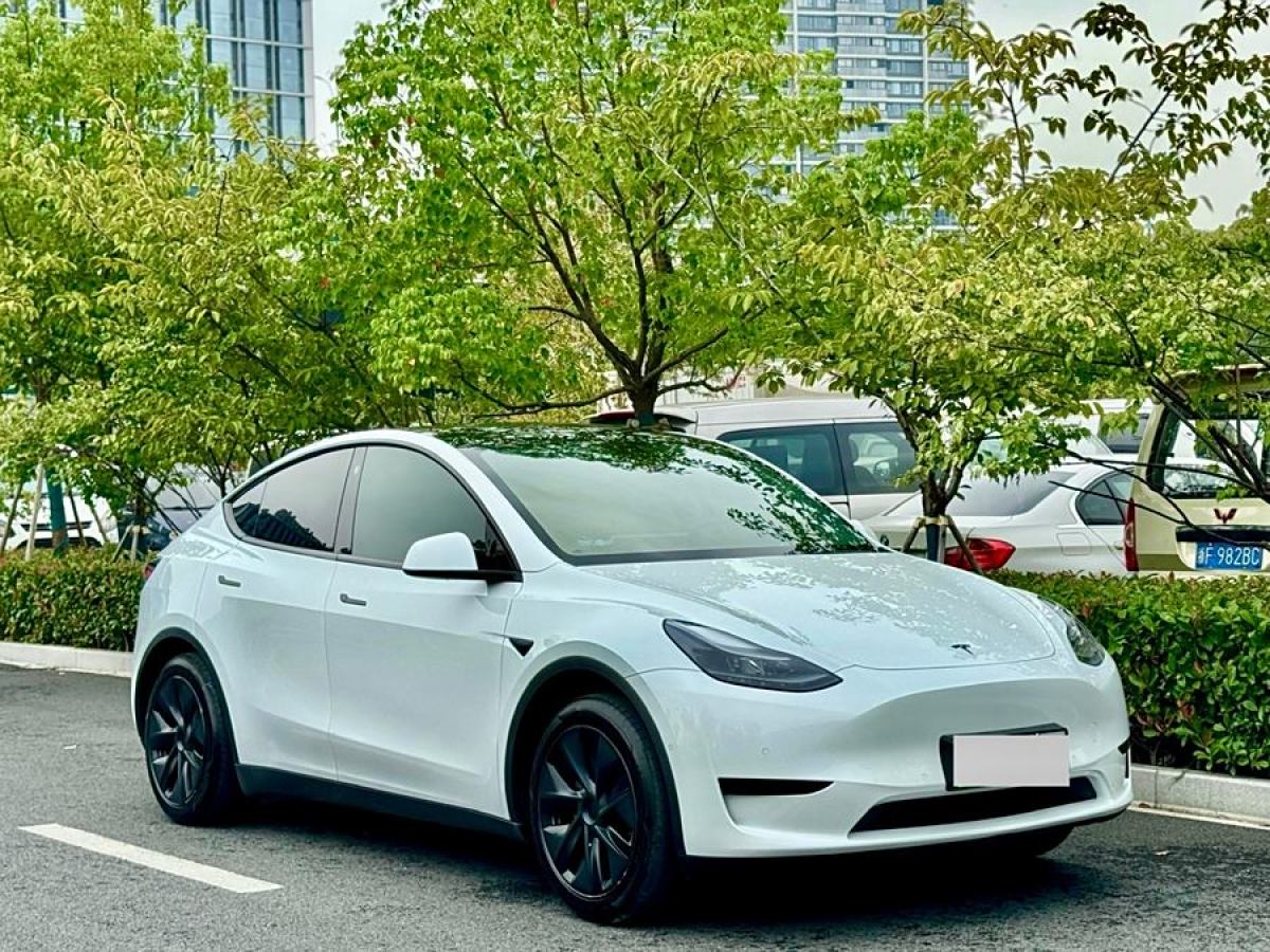 特斯拉 Model Y  2023款 煥新版 后輪驅(qū)動圖片