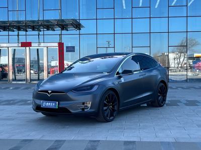 2019年3月 特斯拉 Model X Model X 100D 長(zhǎng)續(xù)航版圖片