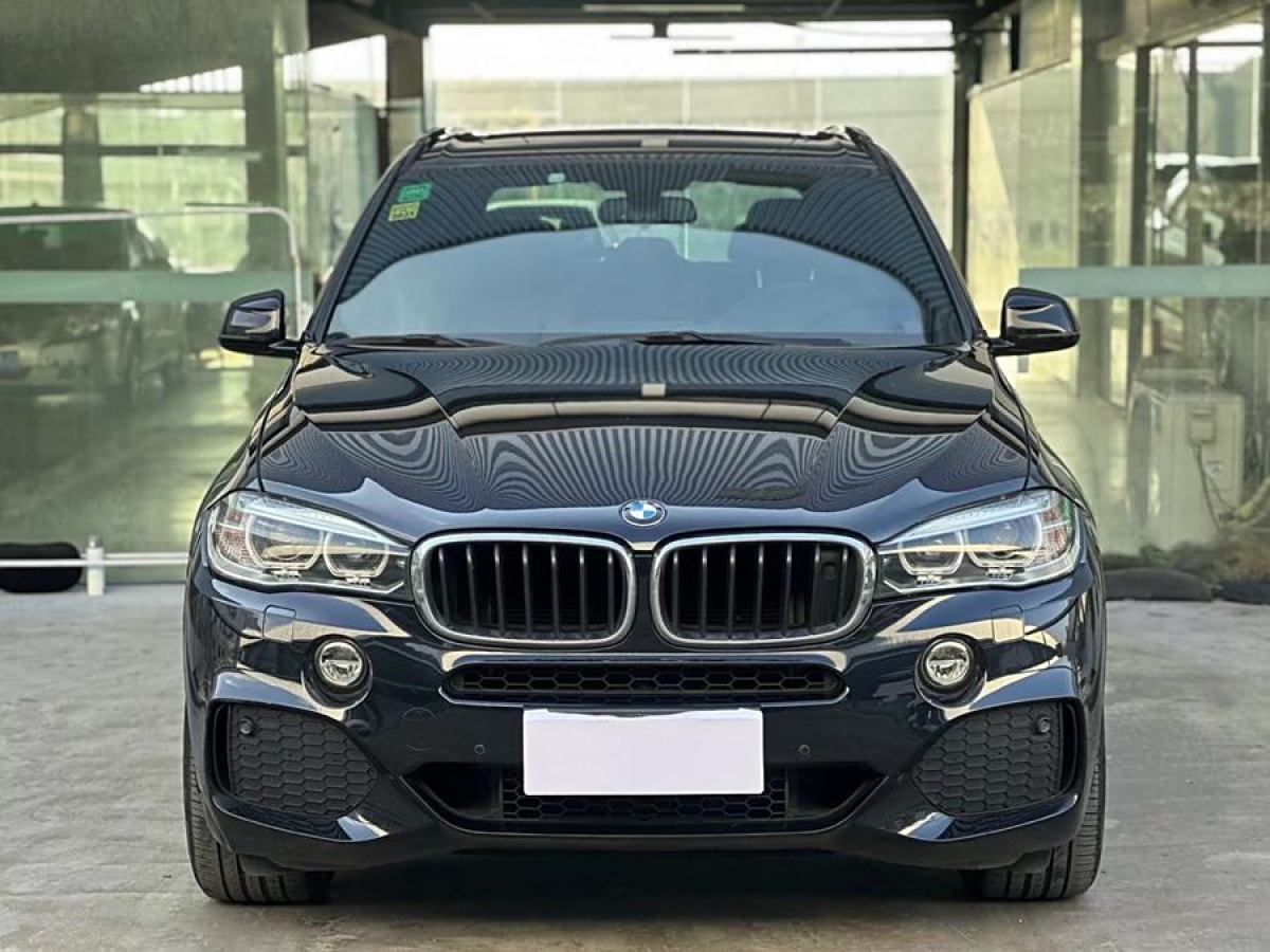 寶馬 寶馬X5  2014款 xDrive35i 豪華型圖片