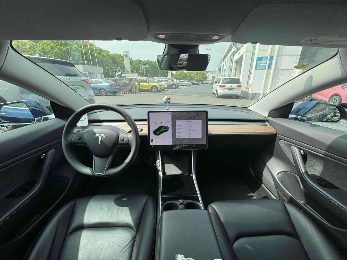 特斯拉 Model 3  2019款 長(zhǎng)續(xù)航后驅(qū)版圖片