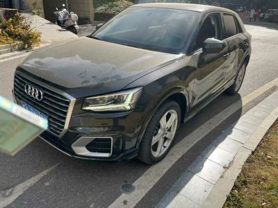 2021年1月 奧迪 奧迪SQ5(進(jìn)口) 3.0 TFSI quattro圖片