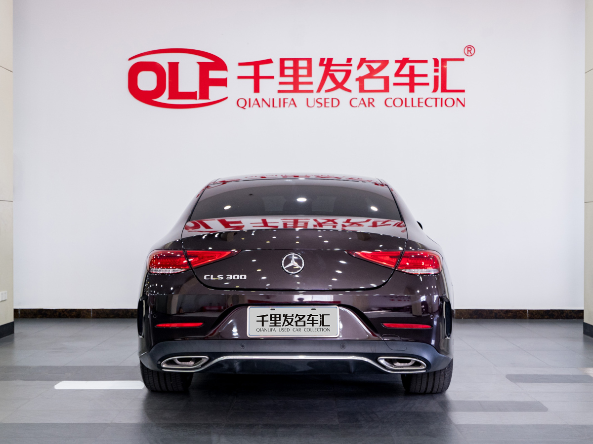 奔馳 奔馳CLS級(jí)  2023款 改款 CLS 300 豪華型圖片