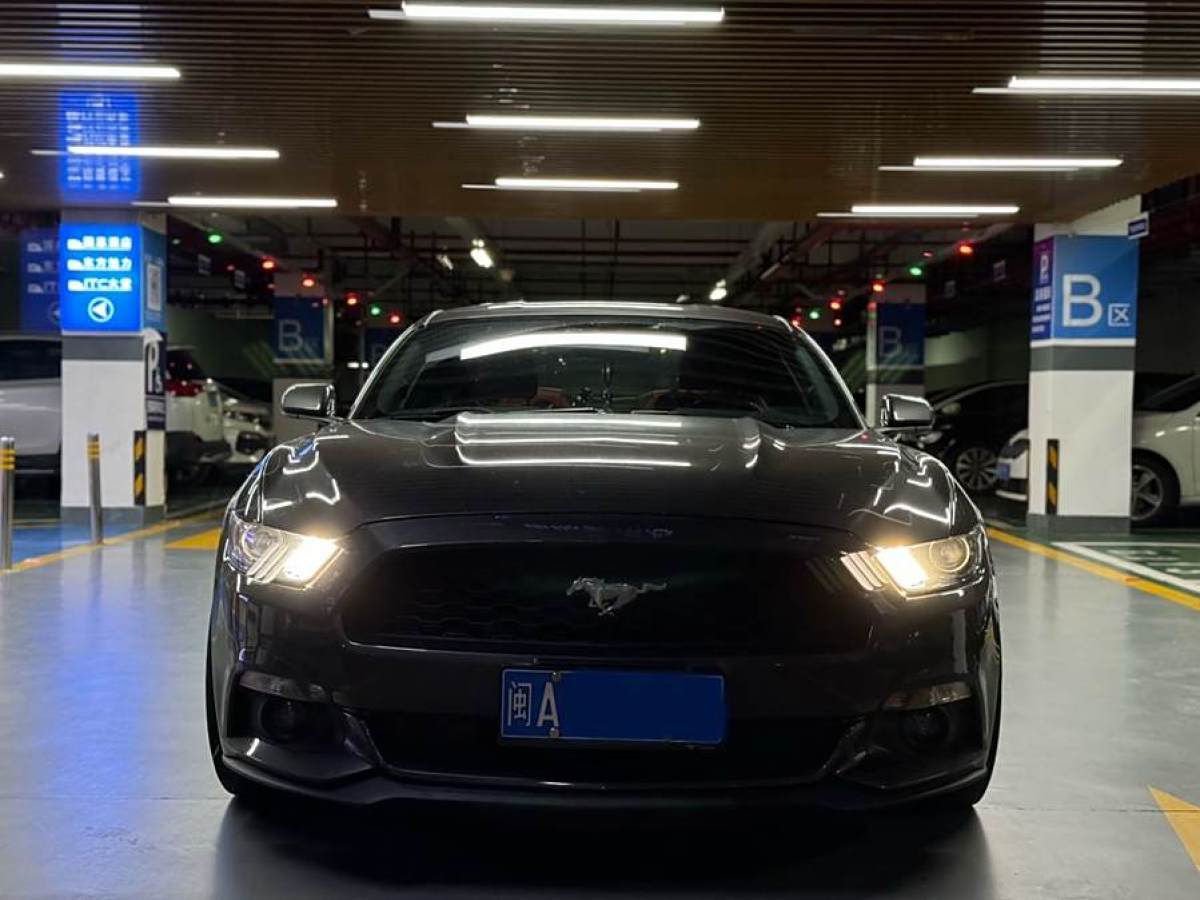 福特 Mustang  2015款 2.3T 性能版圖片