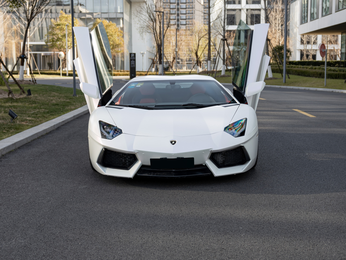 蘭博基尼 Aventador  2011款 LP 700-4圖片