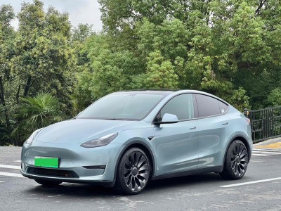 2022年09月 特斯拉 Model Y Performance高性能全輪驅(qū)動版圖片