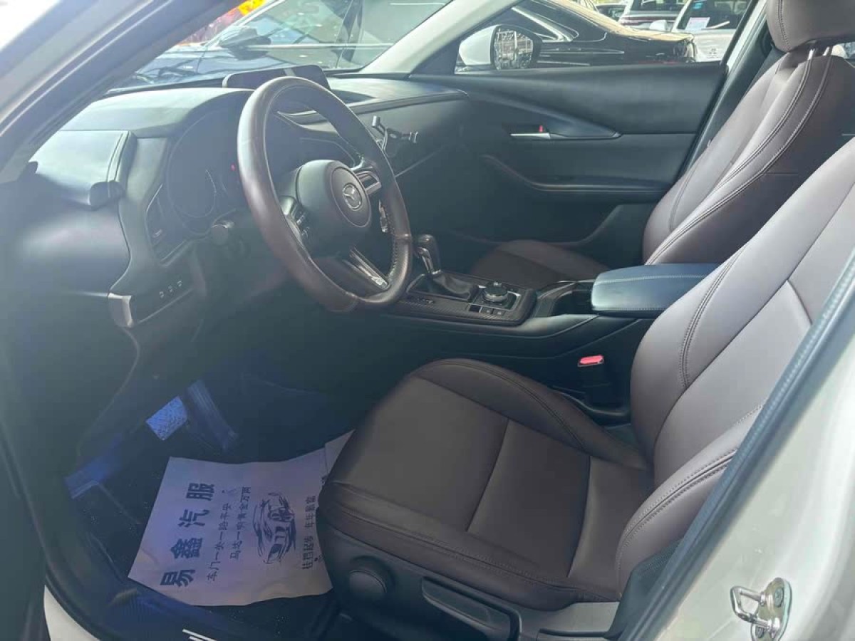 馬自達(dá) CX-30  2020款 2.0L 自動質(zhì)悅型圖片