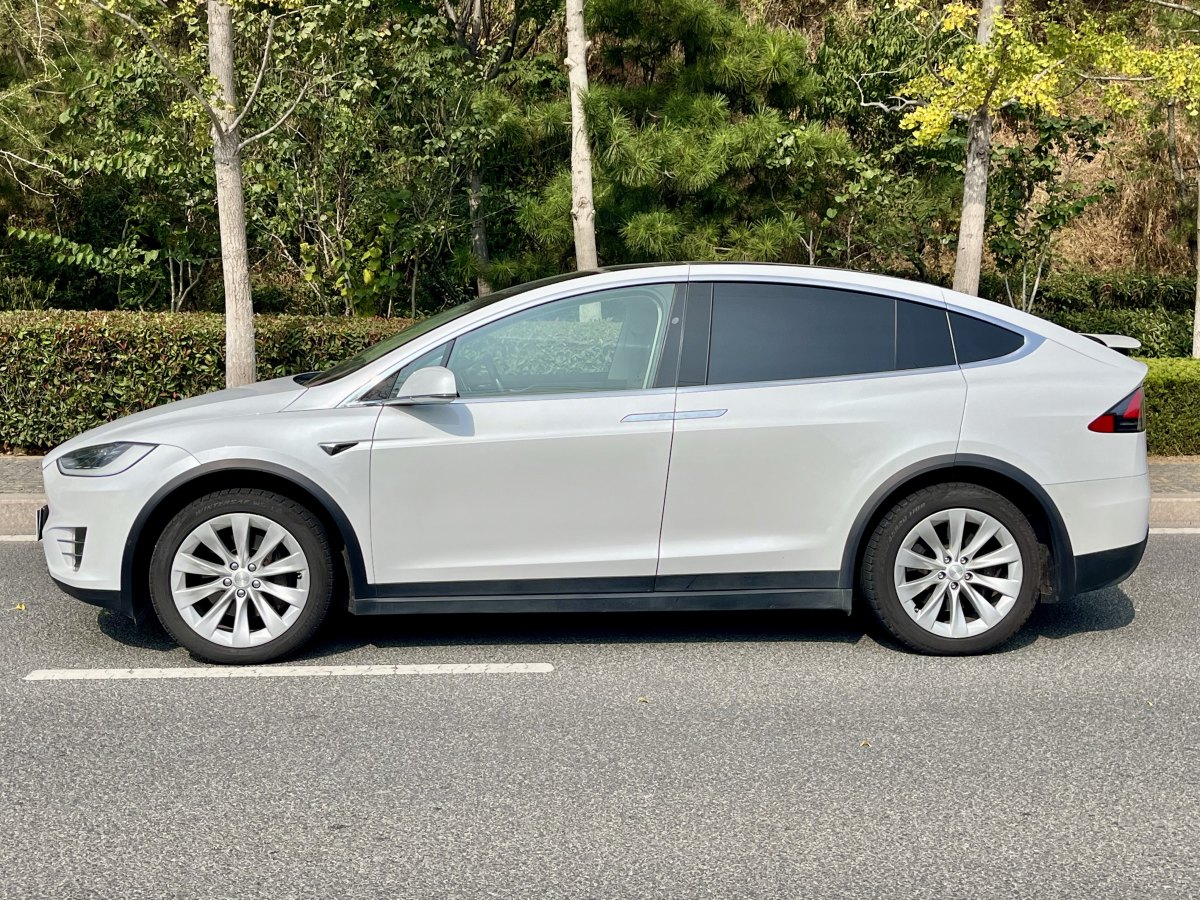 特斯拉 Model X  2016款 Model X 60D图片