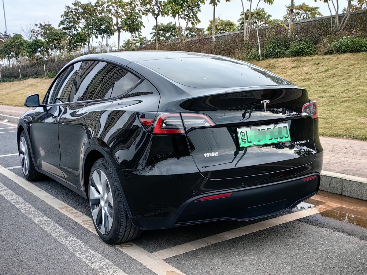 特斯拉 Model 3  2021款 改款 標(biāo)準(zhǔn)續(xù)航后驅(qū)升級(jí)版圖片