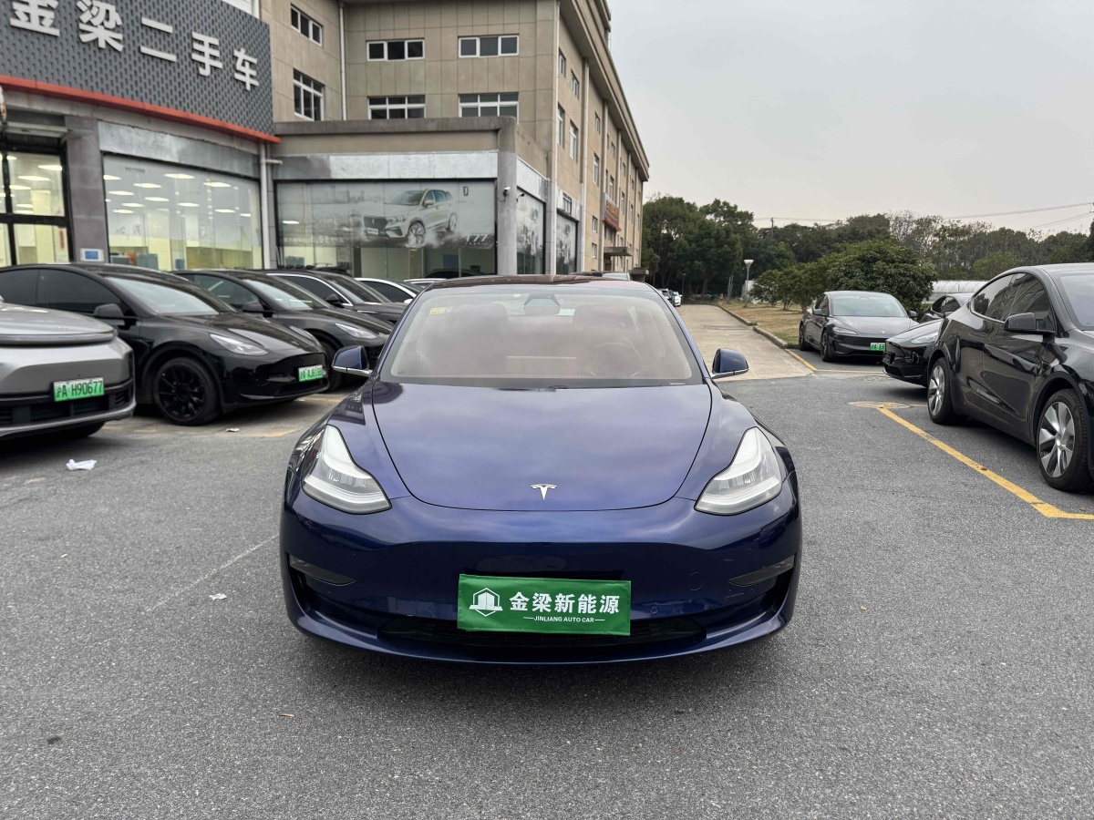 特斯拉 Model 3  2019款 長續(xù)航全輪驅(qū)動版圖片