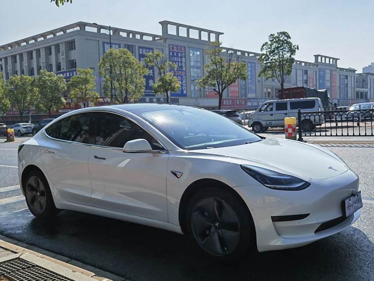 特斯拉 Model 3  2019款 標(biāo)準(zhǔn)續(xù)航后驅(qū)升級(jí)版圖片