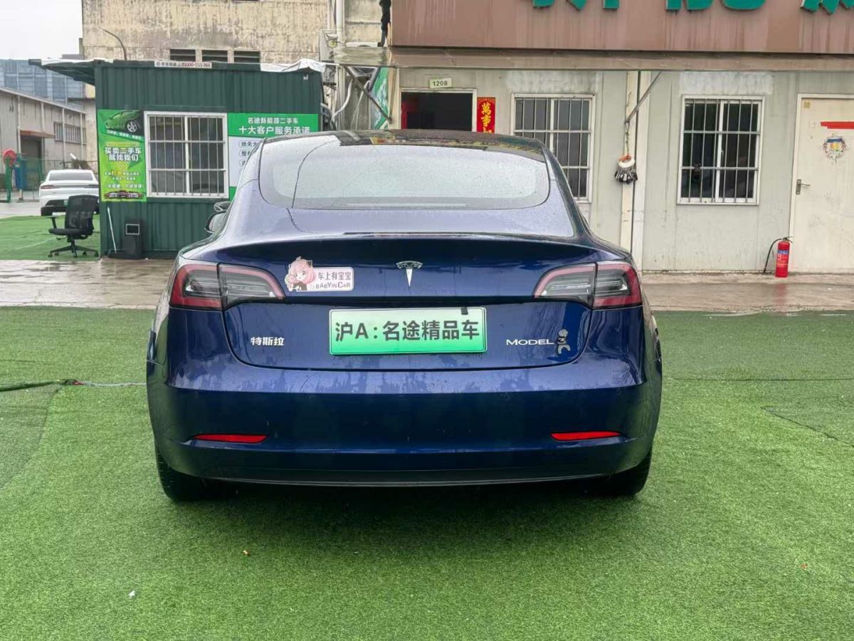 特斯拉 Model X  2020款 Performance 高性能版圖片